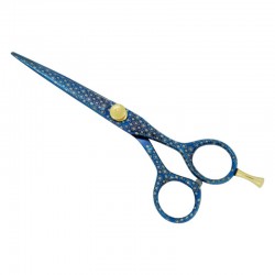 Professional Hair Cutting Scissors Professional Hair Cutting Scissors