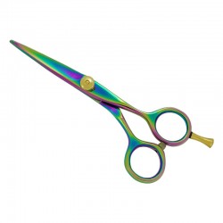 Professional Hair Cutting Scissors Professional Hair Cutting Scissors