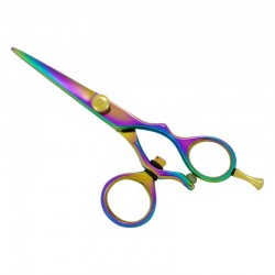 Professional Hair Cutting Scissors Professional Hair Cutting Scissors