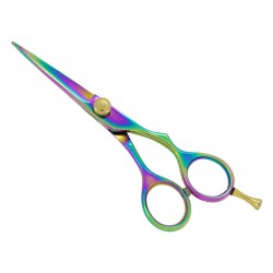 Professional Hair Cutting Scissors Professional Hair Cutting Scissors