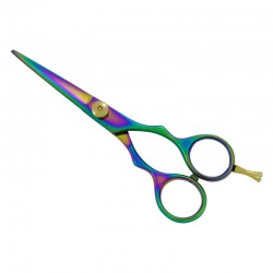 Professional Hair Cutting Scissors Professional Hair Cutting Scissors