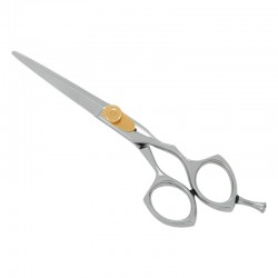 Professional Hair Cutting Scissors Professional Hair Cutting Scissors