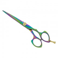 Professional Hair Cutting Scissors Professional Hair Cutting Scissors