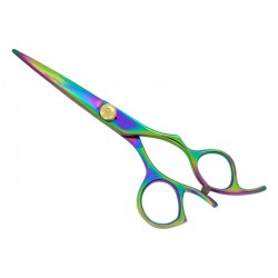 Professional Hair Scissors Professional Hair Scissors