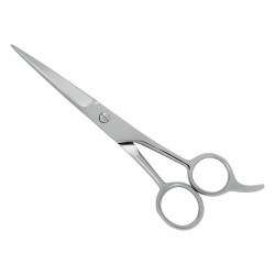 Professional Hair Cutting Scissors Professional Hair Cutting Scissors