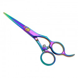 Professional Hair Cutting Scissors Professional Hair Cutting Scissors