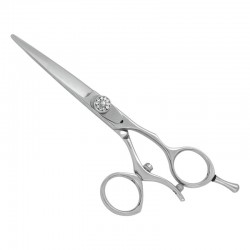 Professional Hair Cutting Scissors Professional Hair Cutting Scissors