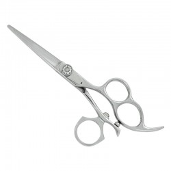 Professional Hair Cutting Scissors Professional Hair Cutting Scissors