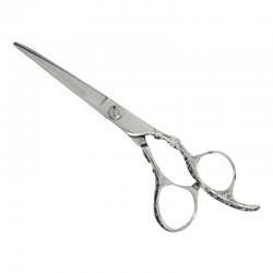 Professional Hair Cutting Scissors Professional Hair Cutting Scissors