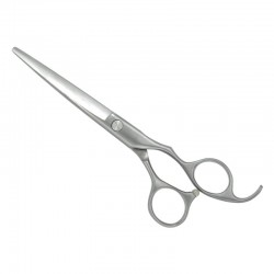 Professional Hair Cutting Scissors Professional Hair Cutting Scissors