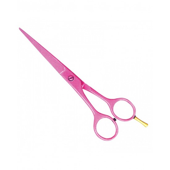 Economy Hair Scissors