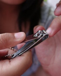 Nail Clipper